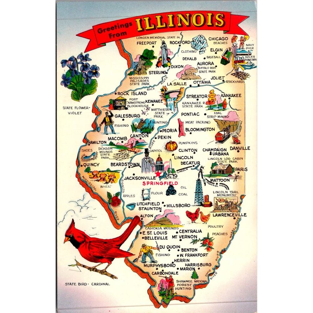 Greetings From Illinois The Prairie State Vintage Postcard SP17-27